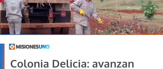 Colonia Delicia: avanzan trabajos de recolección de gajos y chatarras en distintos sectores